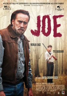 Joe (2014)