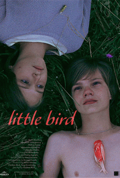 Little Bird (2015)