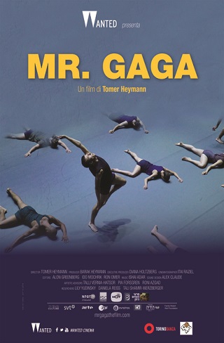 Mr. Gaga (2015)