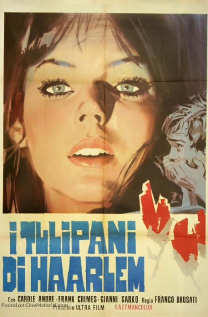 I tulipani di Haarlem (1970)