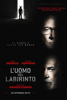 L'uomo del labirinto (2019)