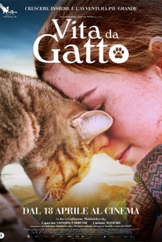 Vita da Gatto (2024)