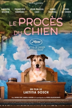 Dog on trial (2024)